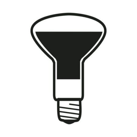 Lichtbron LED E27 12W 220-240V 27K R125