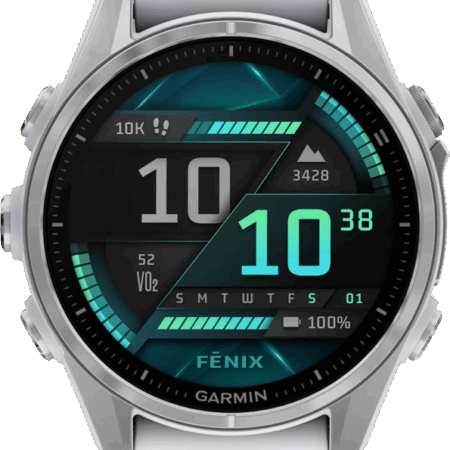 Garmin Fenix 8 Zilver/Wit 43mm