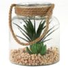 Glas succulent Sarila L