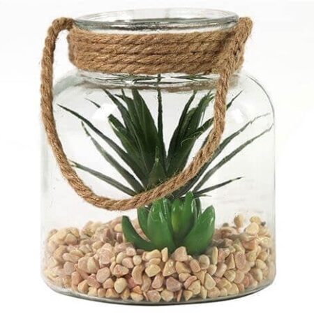 Glas succulent Sarila L