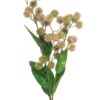 Globe thistle spray pink 79cm