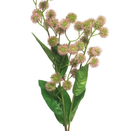 Globe thistle spray pink 79cm