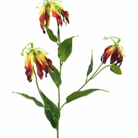 Gloriosa Michelle burgundy 84cm