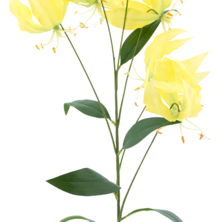 Gloriosa lily sprayyellow 90cm