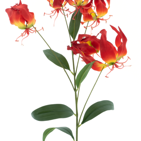 Gloriosa lilyspray red 90cm