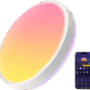 Govee Ceiling Light Pro 15 inch