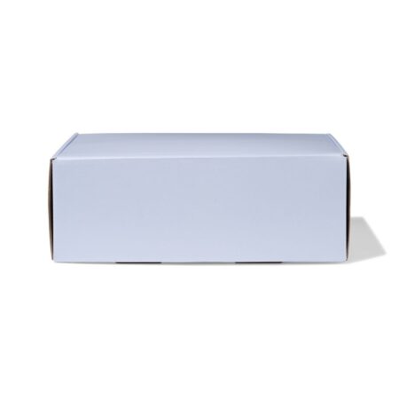 Verzenddozen 30.5x21.5x11cm karton lichtblauw - 3 stuks