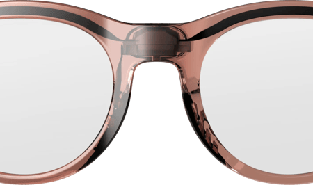 HTC VIVE Eagle AI Bril Photochromic Rond Bruin