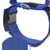 Halsband met handvat en tekstlabel - Blauw - 50mm x 47-67cm