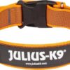 Halsband met handvat en tekstlabel - Oranje - 40mm x 38-53cm
