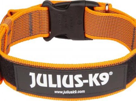 Halsband met handvat en tekstlabel - Oranje - 40mm x 38-53cm