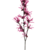 Hamamelis spray beauty 76cm