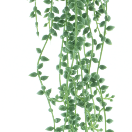 Hanging senecio spray green 86cm