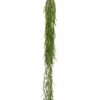 Hanging sprengeri bush green 94cm
