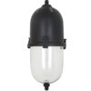 Hanglamp Skylar L Antiek Zwart
