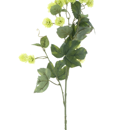 Hop flower spray Leffe green 81cm