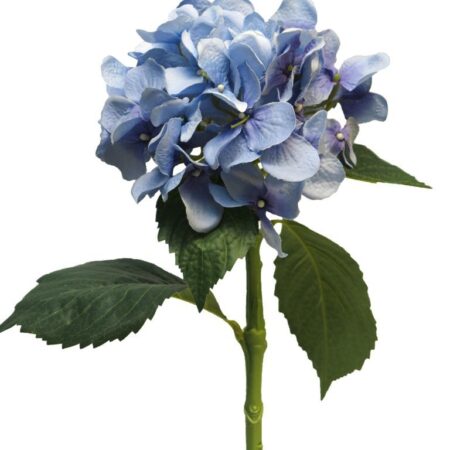 Hortensia Artist blauw 48cm