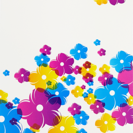 Fotopapier glans A6 50vel