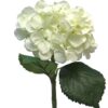 Hydrangea Artist cream 48cm