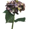 Hydrangea Artist lavendel 48cm