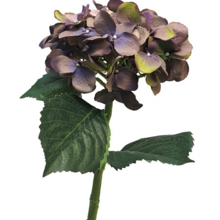 Hydrangea Artist lavendel 48cm