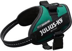 IDC Powertuig Dark Green - Maat Mini