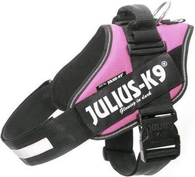 IDC Powertuig Roze - Maat 2