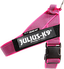 IDC Riemtuig Roze - Maat 2