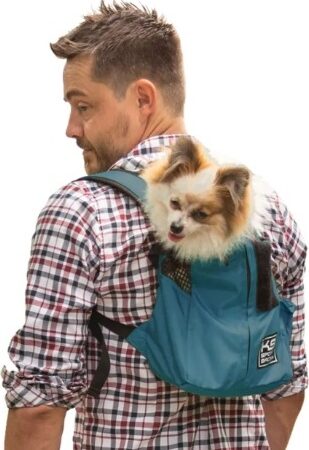 Trainer Blauw