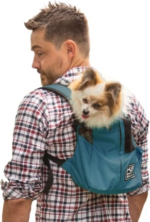 Trainer Blauw