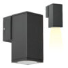 Kevin Muurlamp Zwart met Smart Color LED