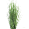 King festuca green in pot 86cm