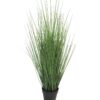 King festuca groen in pot 61cm