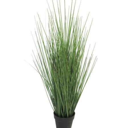 King festuca groen in pot 61cm