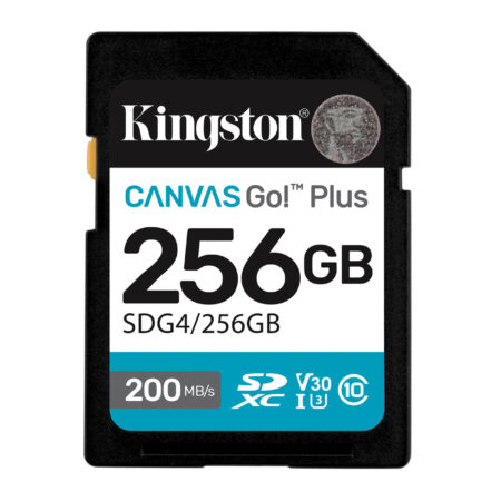 Canvas Go Plus 256GB SD