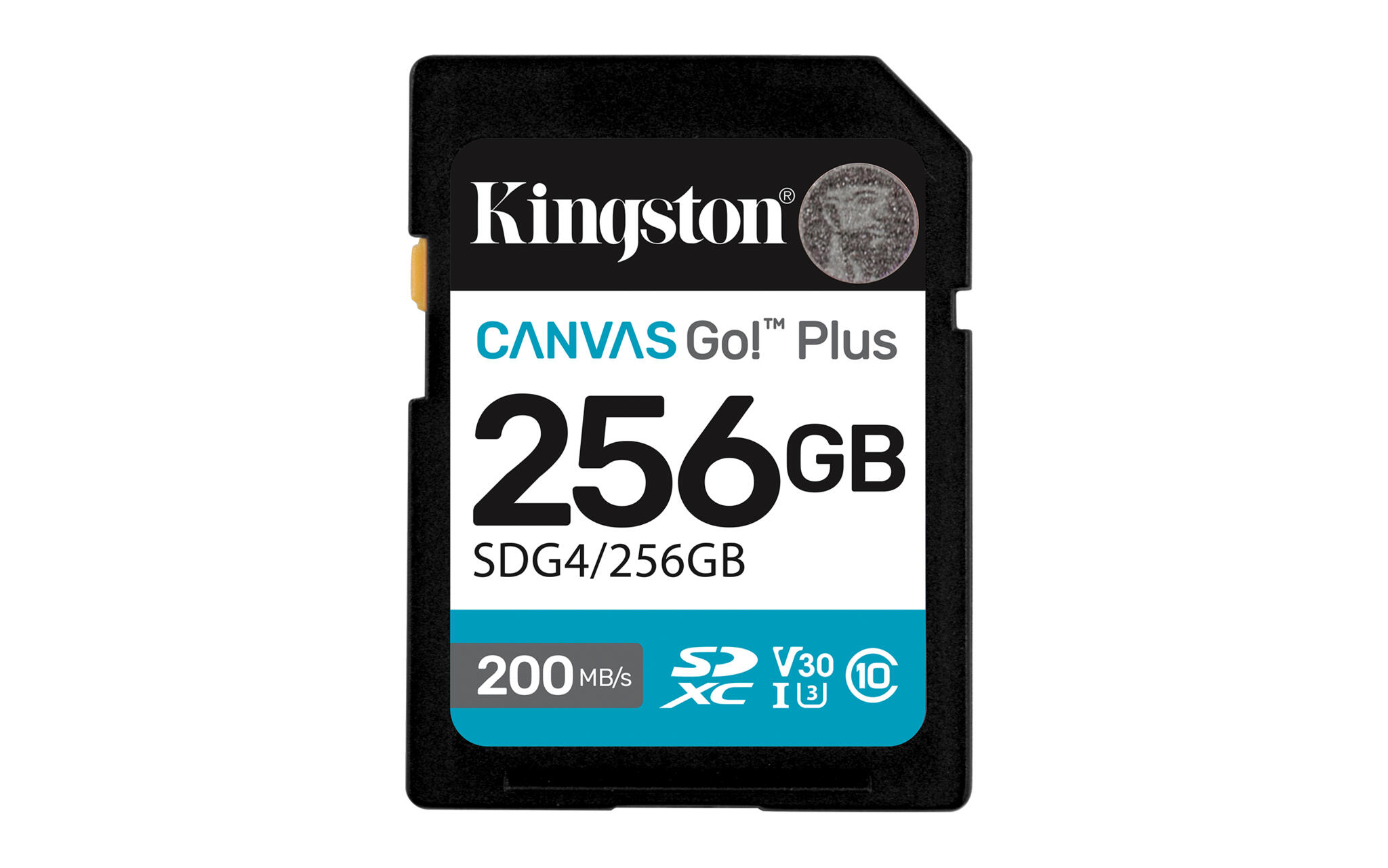 Canvas Go Plus 256GB SD