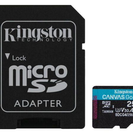 Canvas Go Plus 256GB microSD