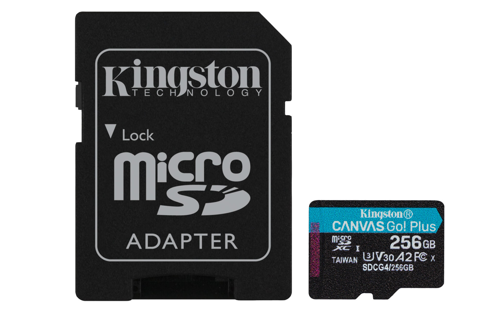 Canvas Go Plus 256GB microSD