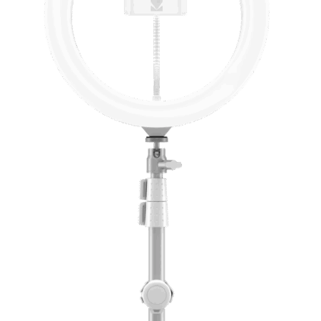 Kodak 10" Ring Light