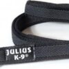 Korte lijn hond - Antislip - 14mm - Met handvat