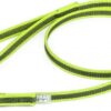 Korte lijn hond - Antislip - 14mm - Met handvat