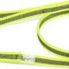 Korte lijn hond - Antislip - 14mm - Met handvat