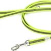 Korte lijn hond - Antislip - 14mm - Met handvat