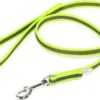 Korte lijn hond - Antislip - 14mm - Met handvat