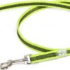 Korte lijn hond - Antislip - 14mm - Zonder handvat