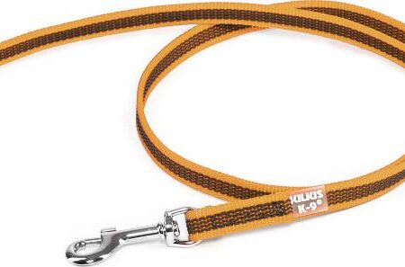 Korte lijn hond - Antislip - 14mm - Zonder handvat