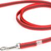 Korte lijn hond - Antislip - 14mm - Zonder handvat