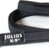 Korte lijn hond - Antislip - 20mm - Met handvat