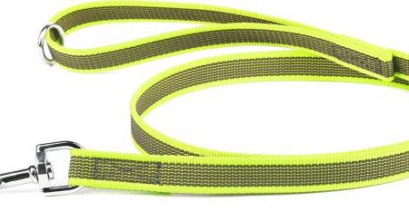 Korte lijn hond - Antislip - 20mm - Met handvat