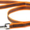 Korte lijn hond - Antislip - 20mm - Met handvat